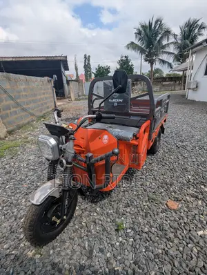 New Tricycle 2026 Orange