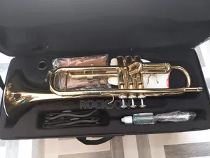 Fragile Trumpet