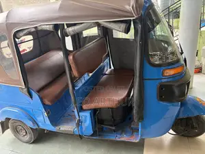 Tricycle 2025 Blue