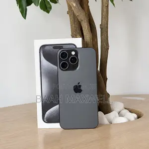 Apple iPhone 15 Pro Max 256 GB Gray