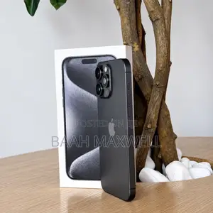 Apple iPhone 15 Pro Max 256 GB Gray