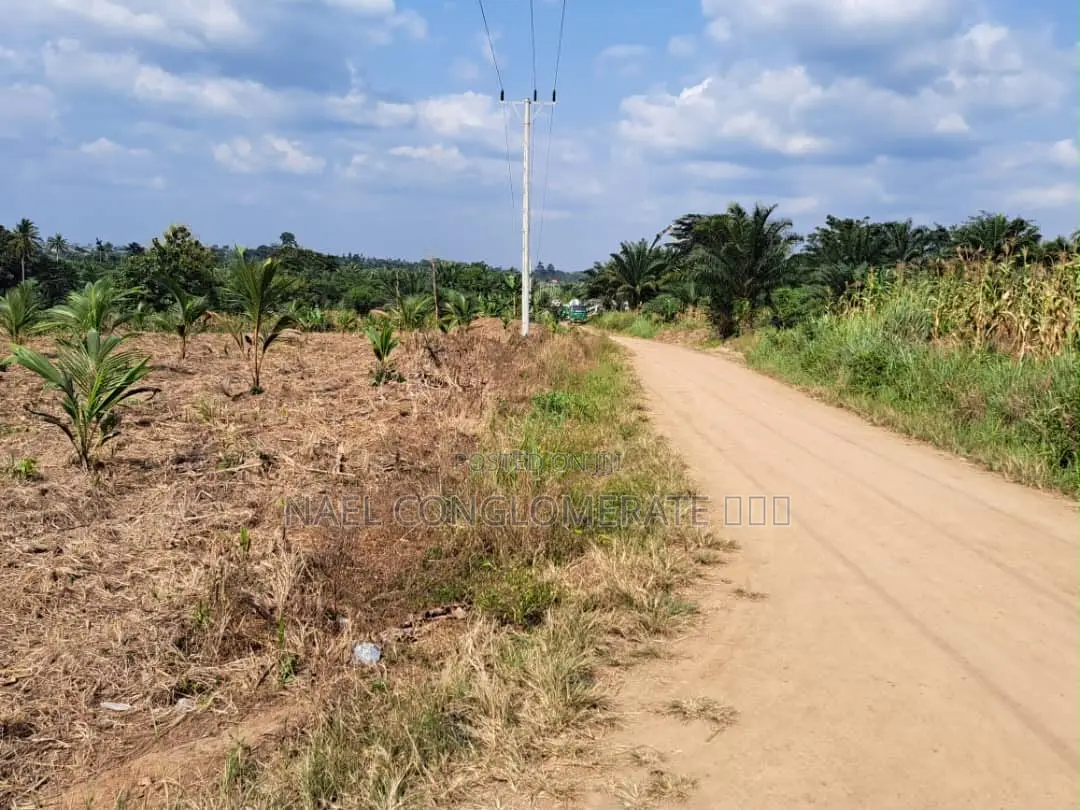 Plots of Land at Teacher Mante