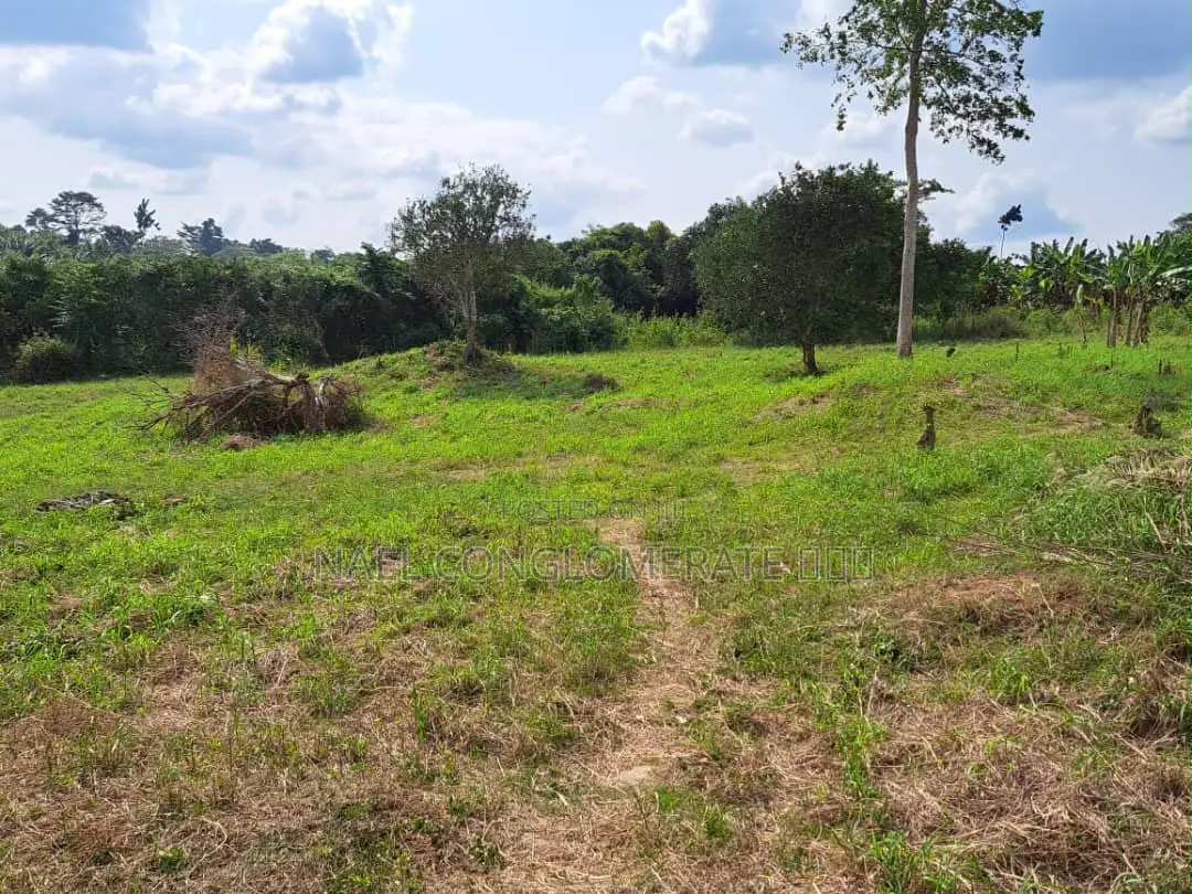 Plots of Land at Teacher Mante