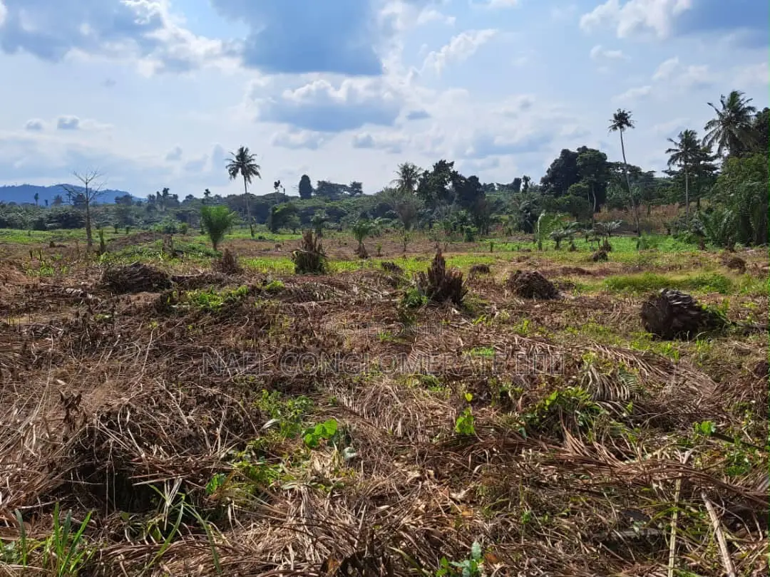 Plots of Land at Teacher Mante