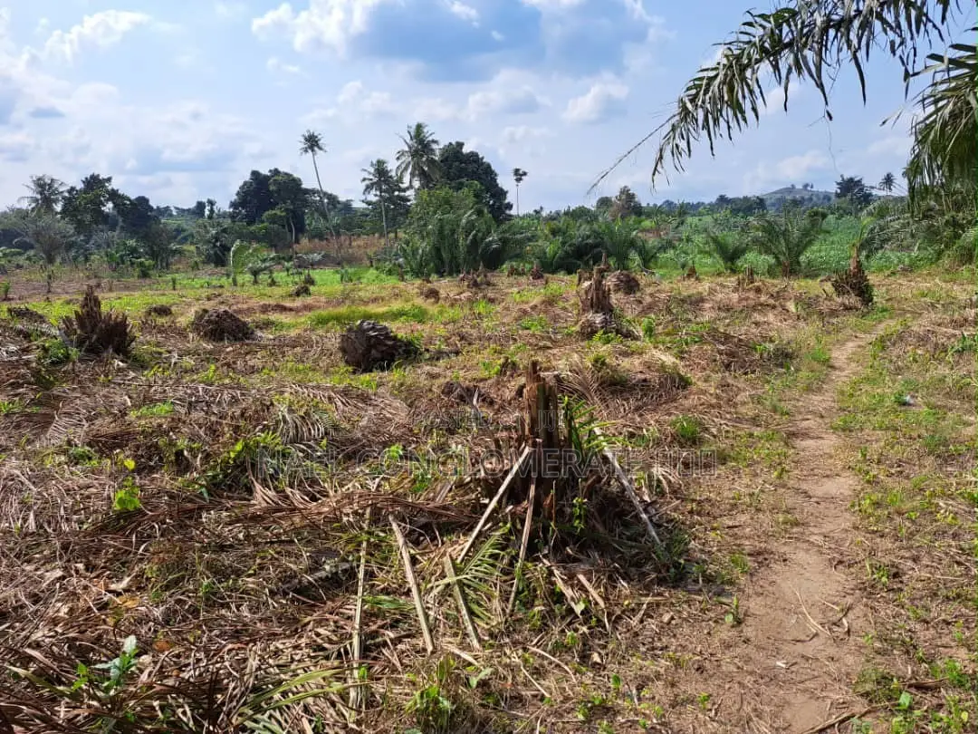 Plots of Land at Teacher Mante