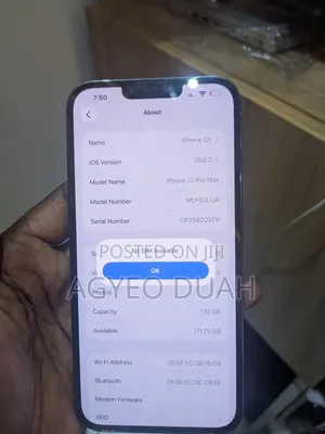 Apple iPhone 13 Pro Max 128 GB Blue