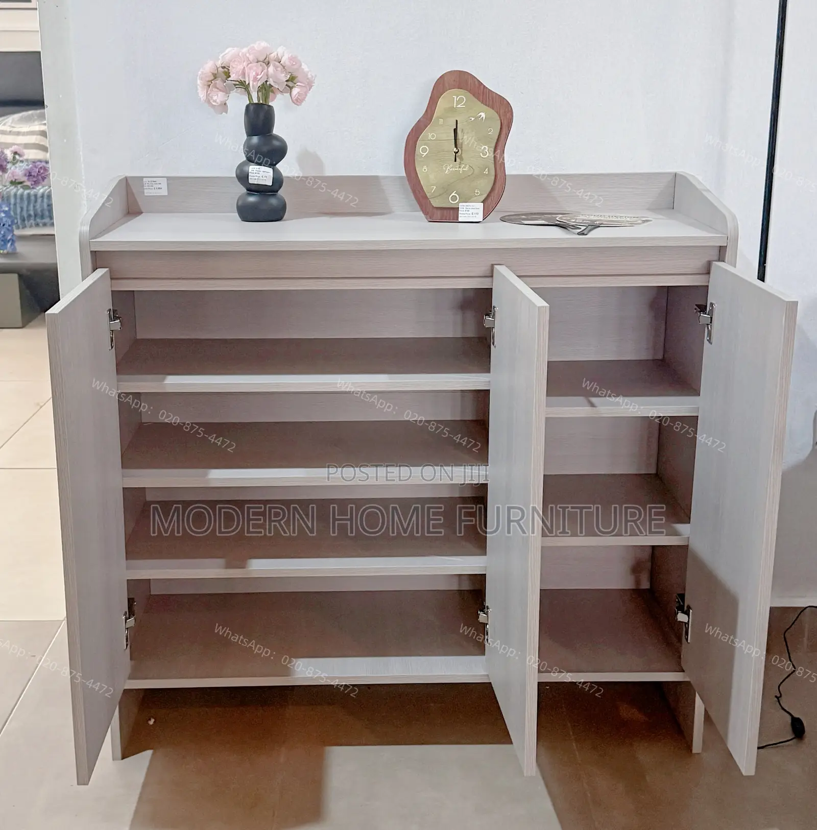 Modern Imported Shoe Cabinet