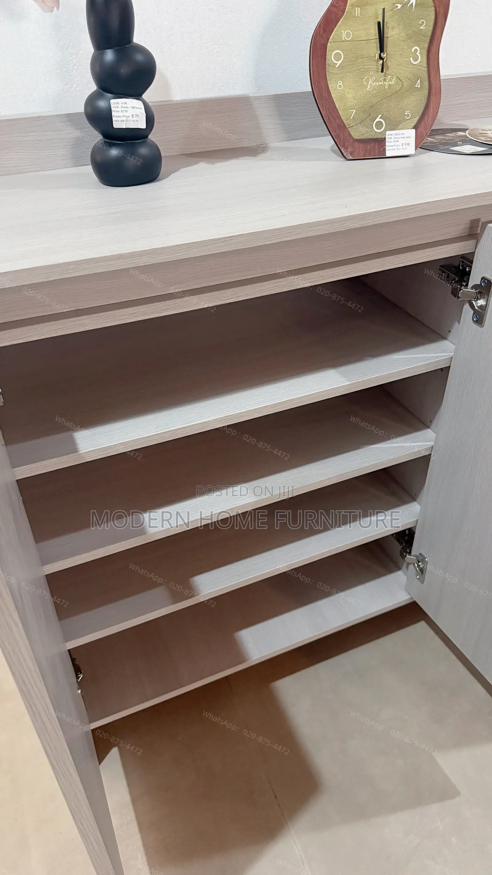 Modern Imported Shoe Cabinet