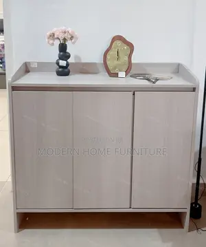 Modern Imported Shoe Cabinet