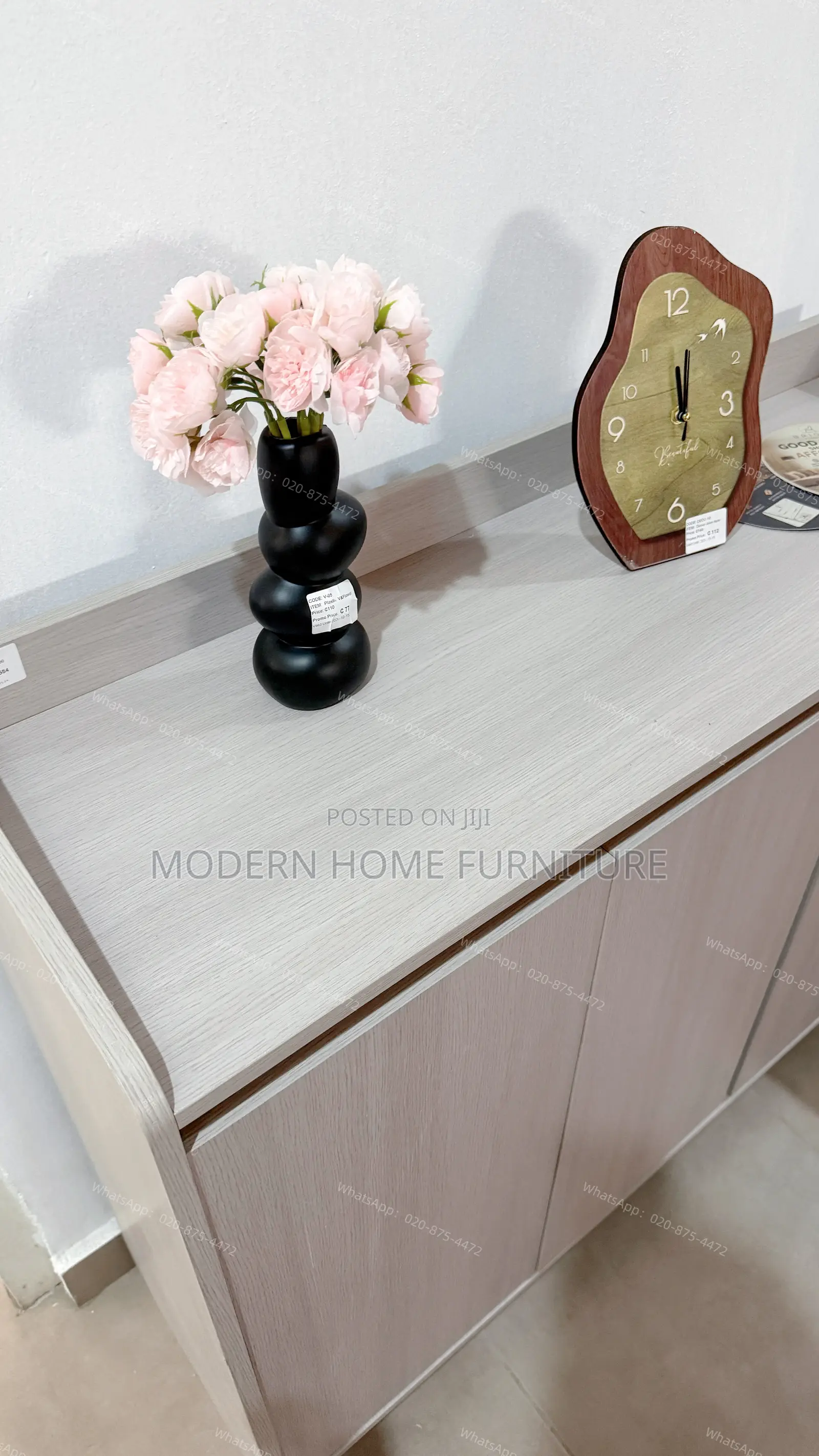 Modern Imported Shoe Cabinet