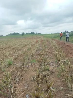 Land for Sale at Nsawam