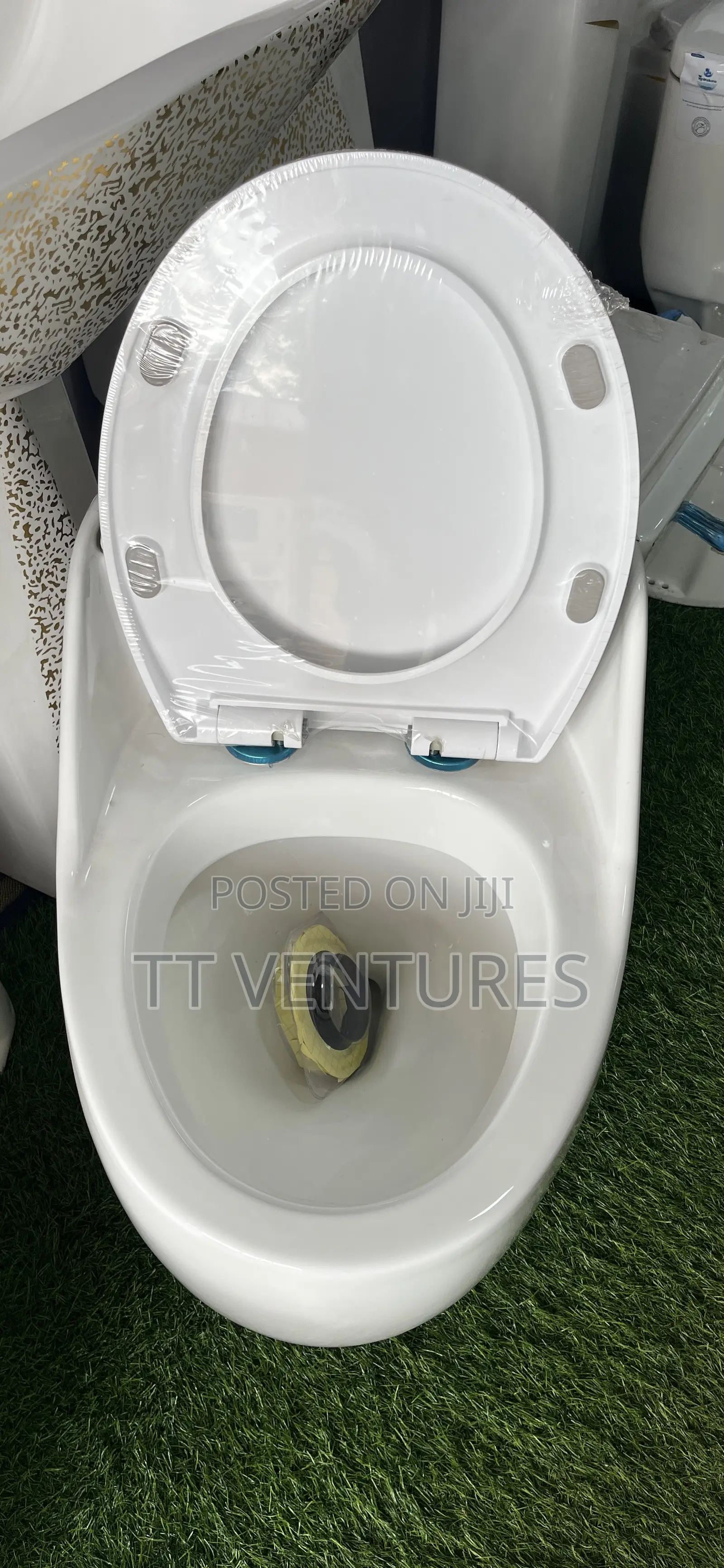 Luxury Water Closet