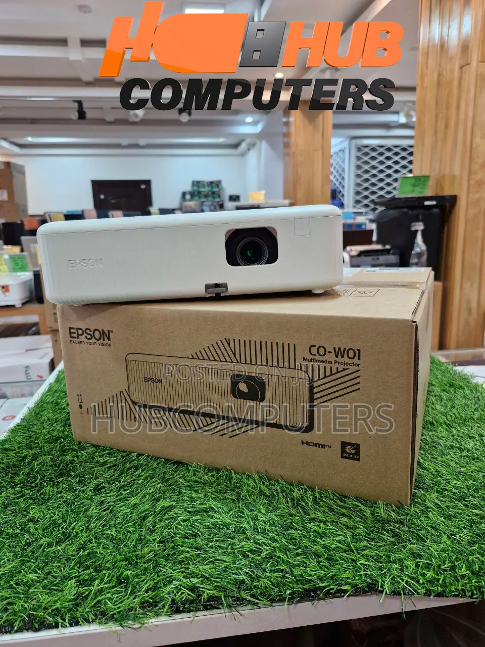 Epson Co-W01 Multimedia Projector