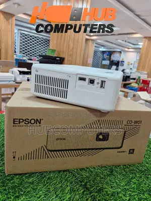 Epson Co-W01 Multimedia Projector