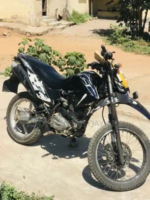 Royal Racer 2015 Black