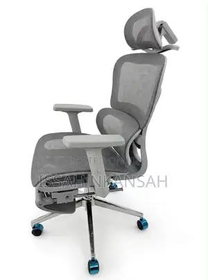 Grey Ergonomic Boss Chair