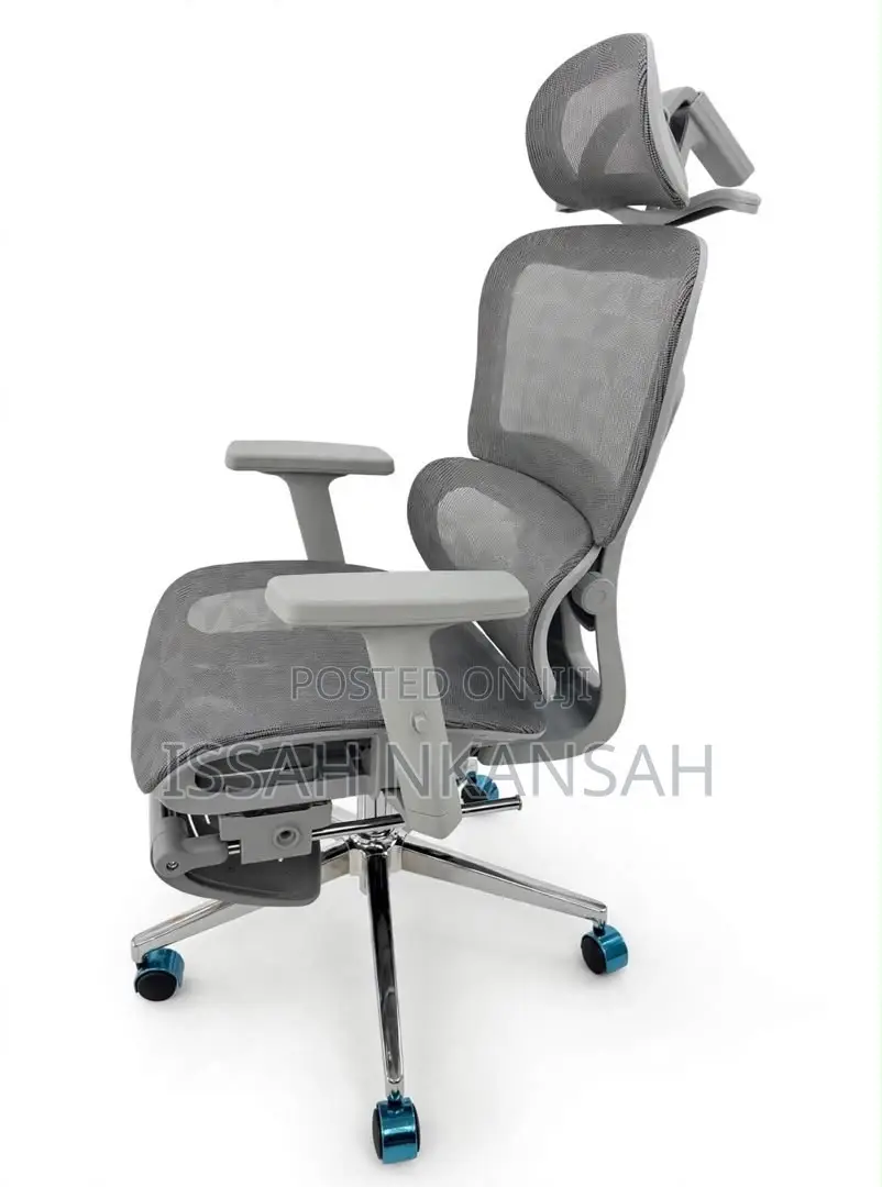 Grey Ergonomic Boss Chair