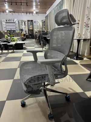Grey Ergonomic Boss Chair