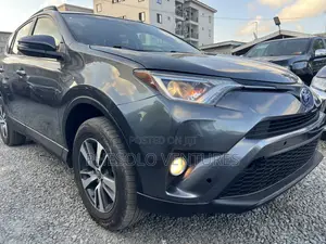 Toyota RAV4 XLE 4dr SUV (2.5L 4cyl 6A) 2018 Gray