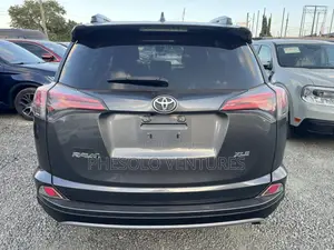 Toyota RAV4 XLE 4dr SUV (2.5L 4cyl 6A) 2018 Gray