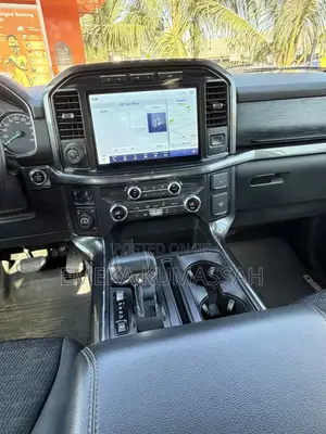 Ford F-150 XLT 2021 Gray