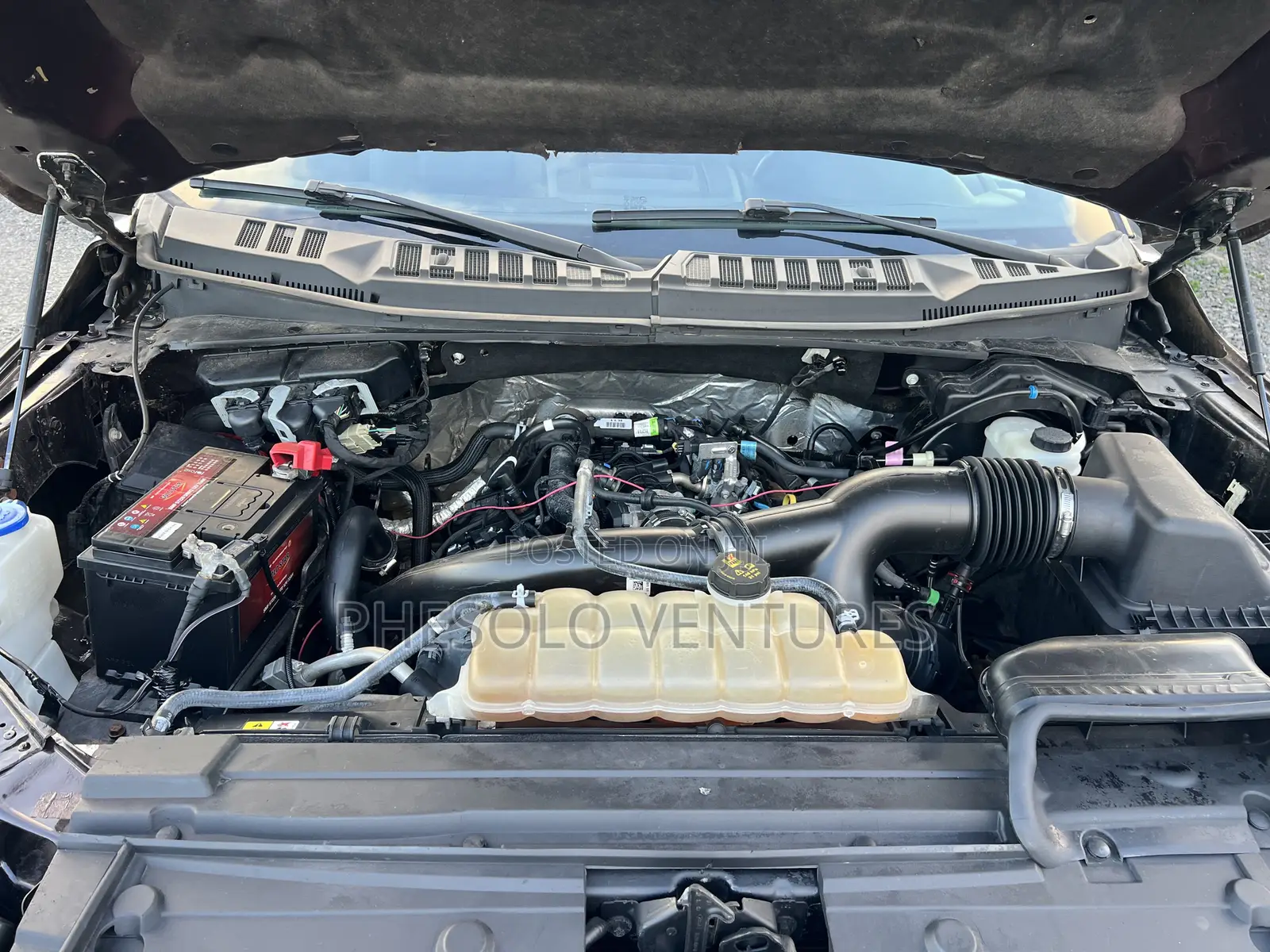 Ford F-150 XLT 4x4 Regular Cab Styleside 8 ft. box 141 in. WB 2019