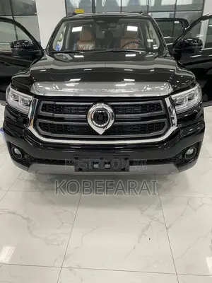 New Great Wall King Kong Poer 2025 White