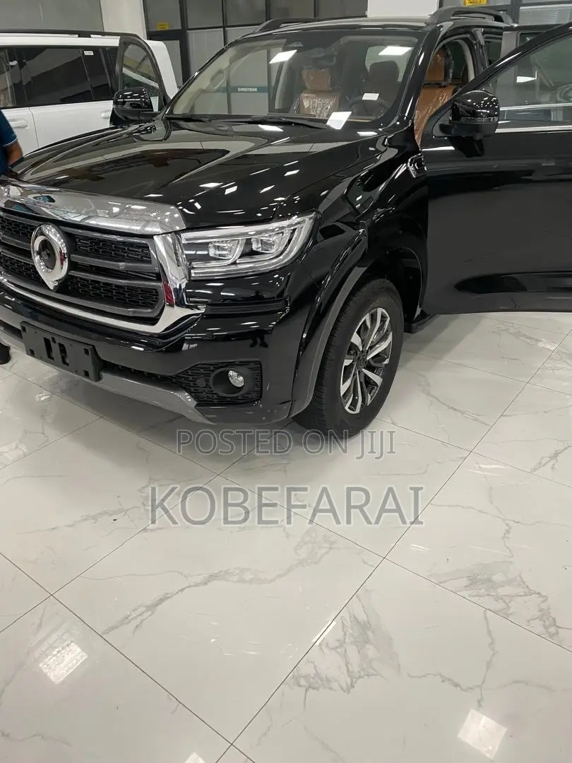 New Great Wall King Kong Poer 2025 White