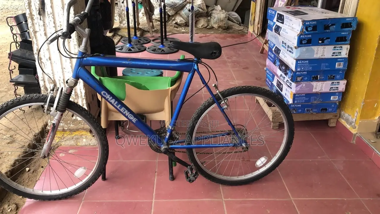Mountain Bike