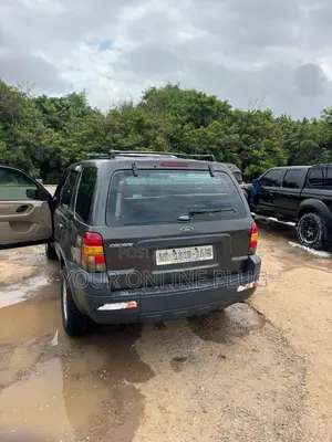Ford Escape 2005 Gray