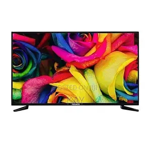 Nasco 42" TV