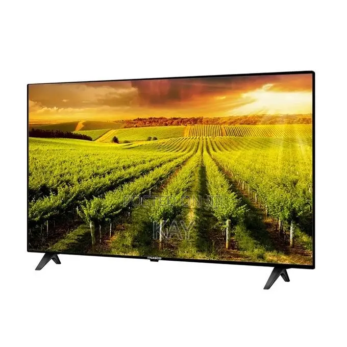 Nasco 42" TV