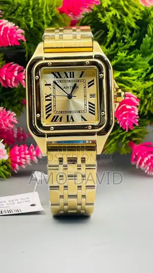 Men’s Cartier Luxury Fashion Designer