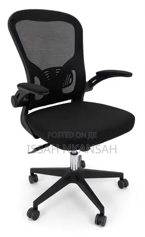 Mesh Ergonomic Office Chair