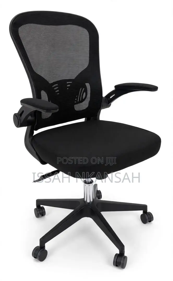 Mesh Ergonomic Office Chair