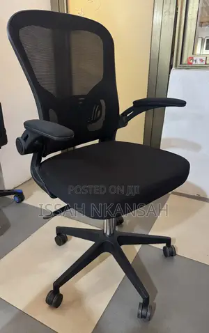 Mesh Ergonomic Office Chair