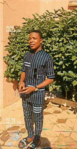 Professional Tailor