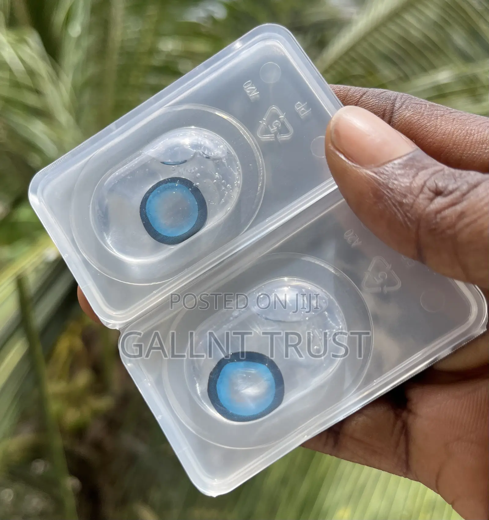 Cosmetic Contact Lens