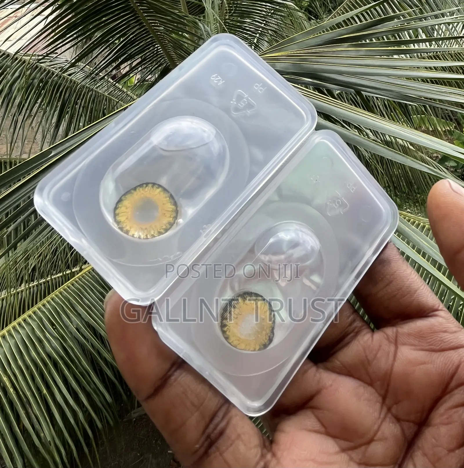 Cosmetic Contact Lens