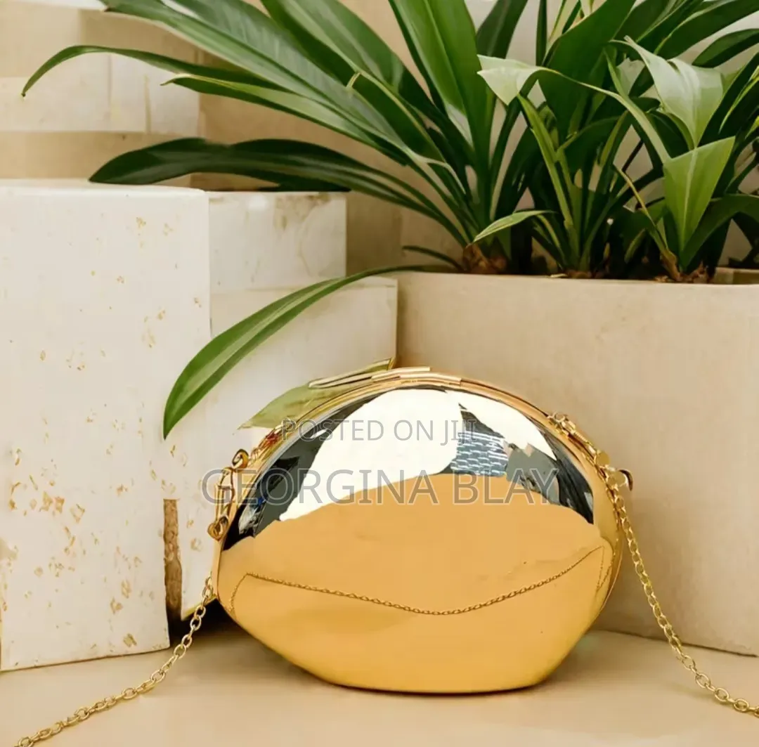 Ladies Clutch Bag