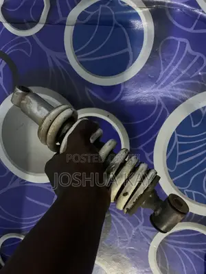 Apsonic Centre Shock Spring Complete