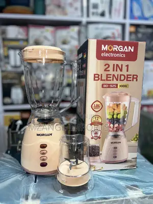 High Quality New Morgan 2in1 Blender