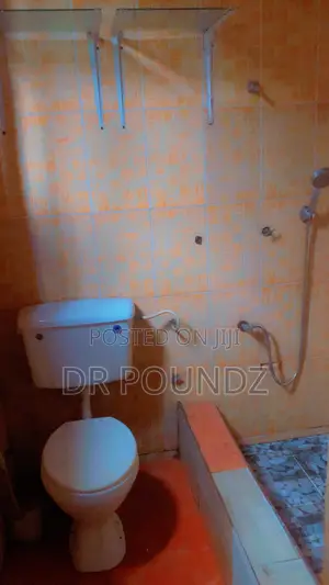 Furnished 2bdrm Apartment in Tseaddo for rent