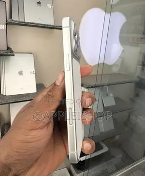 Apple iPhone 17 Pro Max 512 GB Silver