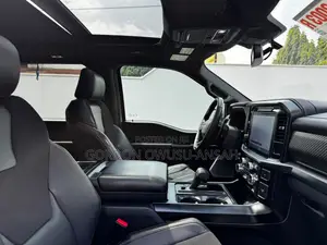 Ford F-150 Raptor 2024 Gray