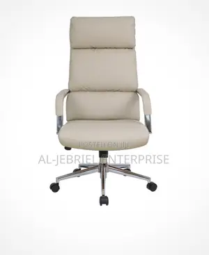 Eldo Fixed Chrome Armrest Backrest and Seat Chair