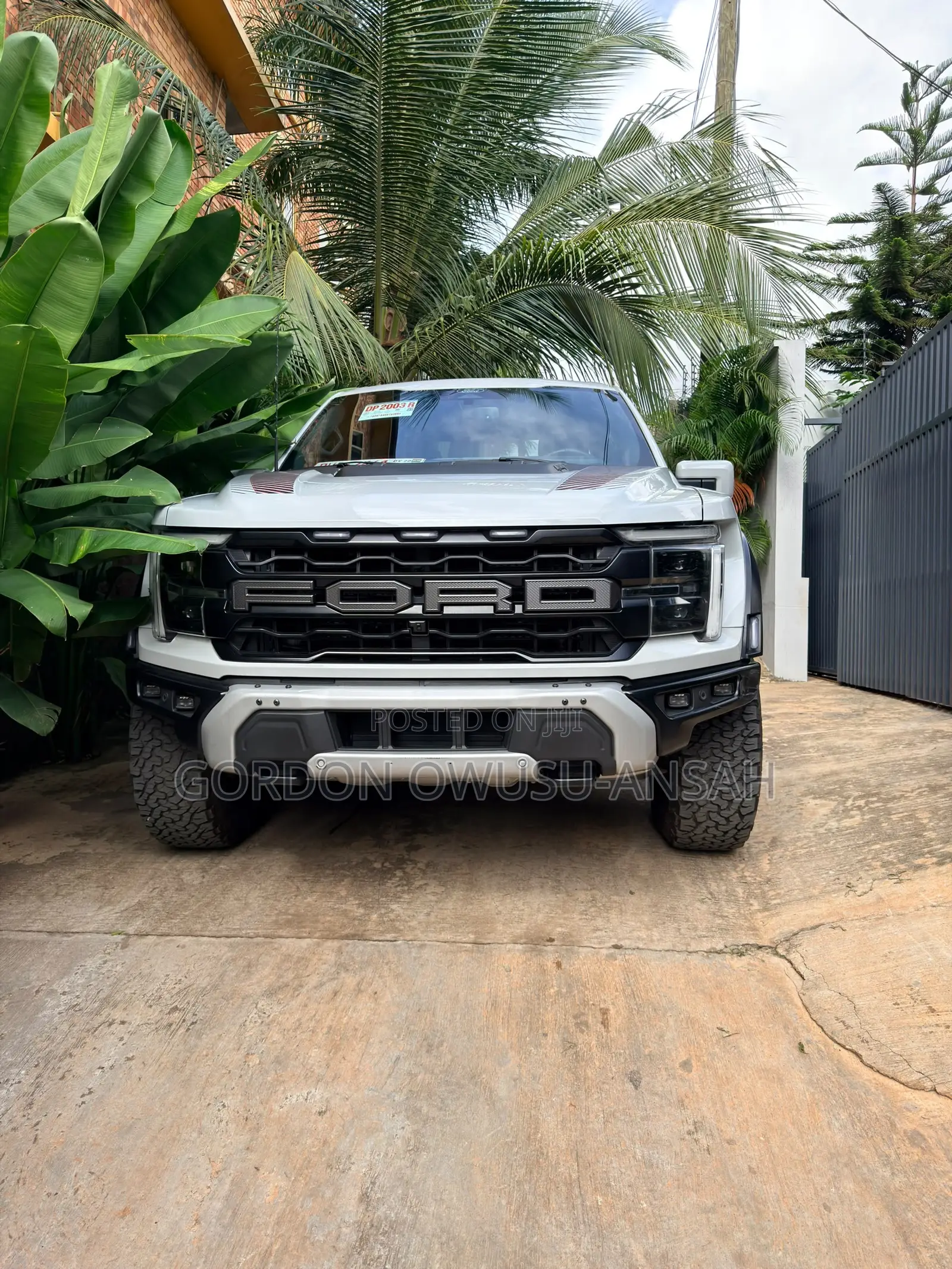 Ford F-150 Raptor 2024 Gray