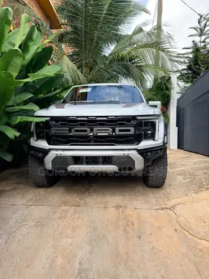 Ford F-150 Raptor 2024 Gray