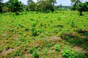 Noble Estate Land for Sale Off Prampram