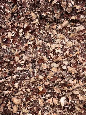 Cashew Husk
